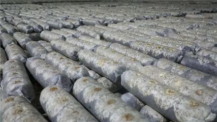 山陽、商南6個重點(diǎn)項(xiàng)目接受全市&ldquo;檢閱&rdquo;